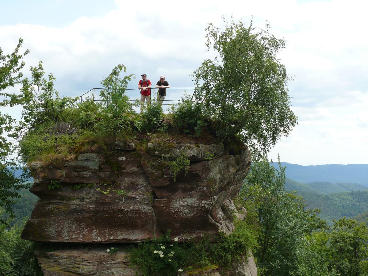 Blick Zum Maimont Hotel Ludwigswinkel ภายนอก รูปภาพ